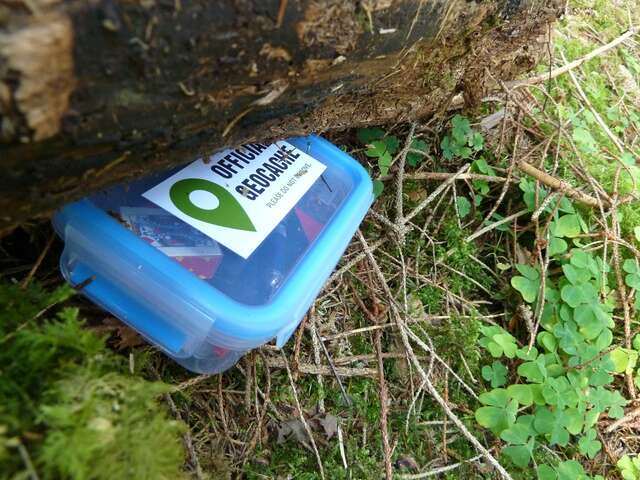 Chasse aux trésors - Géocaching 