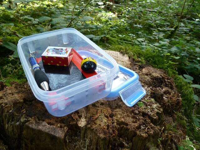 Chasse aux trésors - Géocaching 