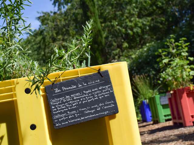 Atelier  « Plantes médicinales et… plantes toxiques ! »