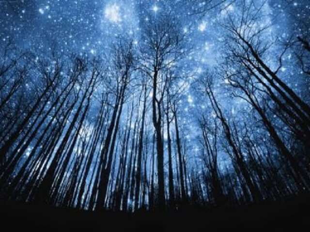 Sortie adhérents de Saute Ruisseaux - Nuit des étoiles