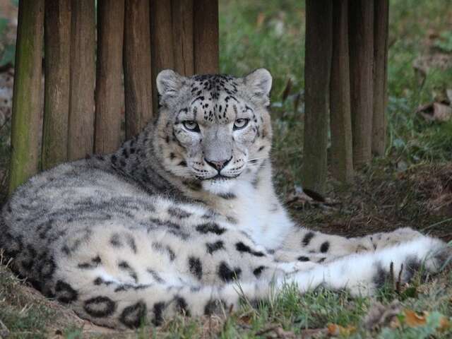 Zooparc de Trégomeur