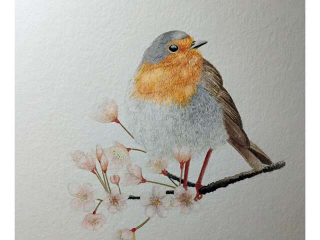 Exposition Aquarelles Animalières - Bernard Teboul