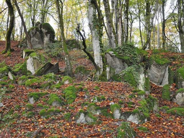 Circuit de randonnée : Le tour du Jarissou