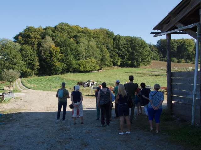 L'en-cas fromager des gourmands à la ferme