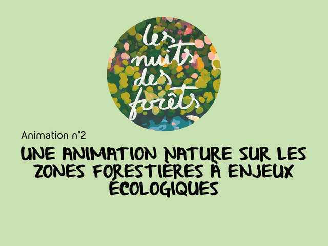 Les Nuits des Forêts : Découverte de la forêt / animation 2