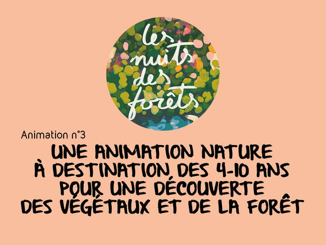 Les Nuits des Forêts : Découverte de la forêt / animation 3