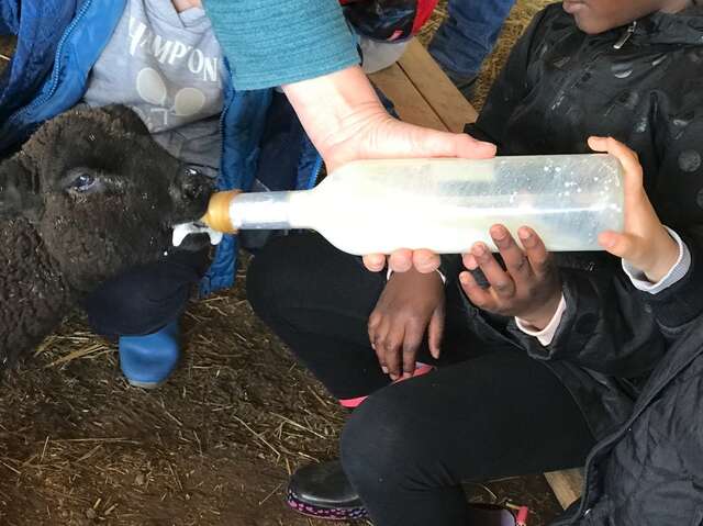 Les Sabots de laine préparent la rentrée