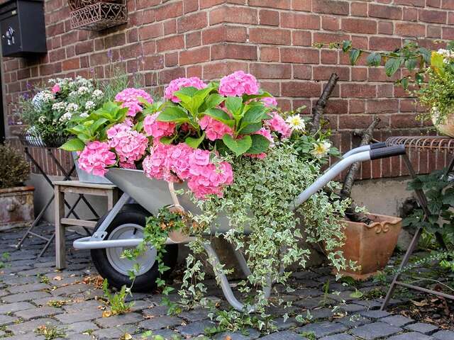 Vide jardin