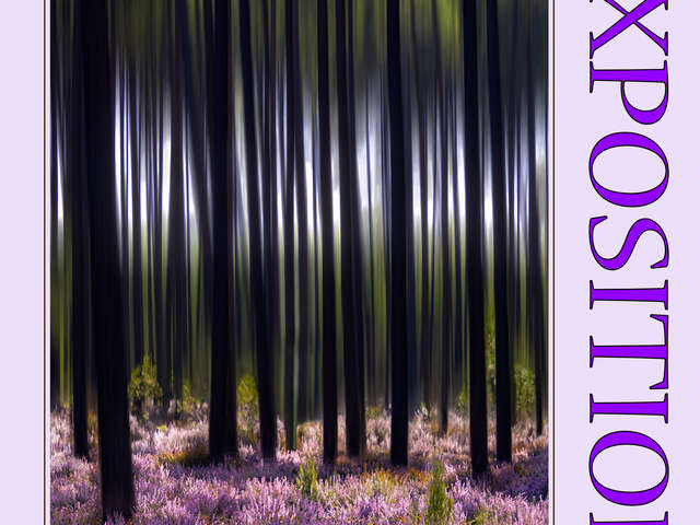 Exposition photographies