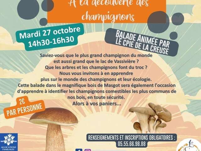 Balade nature à la découverte des champignons