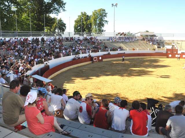 Course Landaise et jeux d'arènes