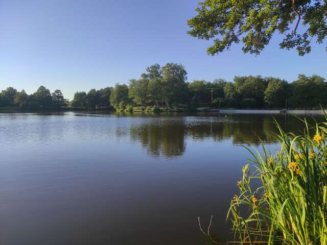 Etang de Malleteix