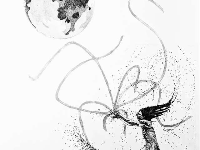 Exposition " Lunaisons "