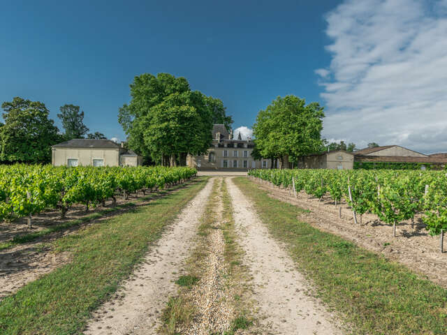 Château Cantemerle