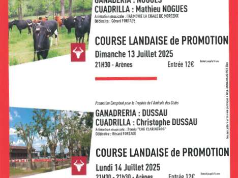 Course Landaise