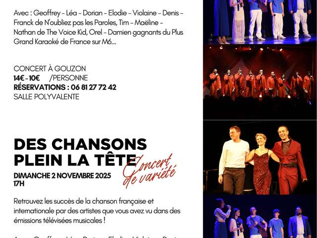 Des chansons plein la tête