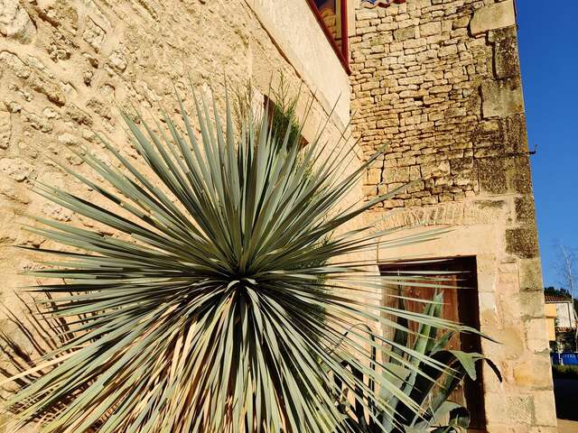La suite Niortaise
