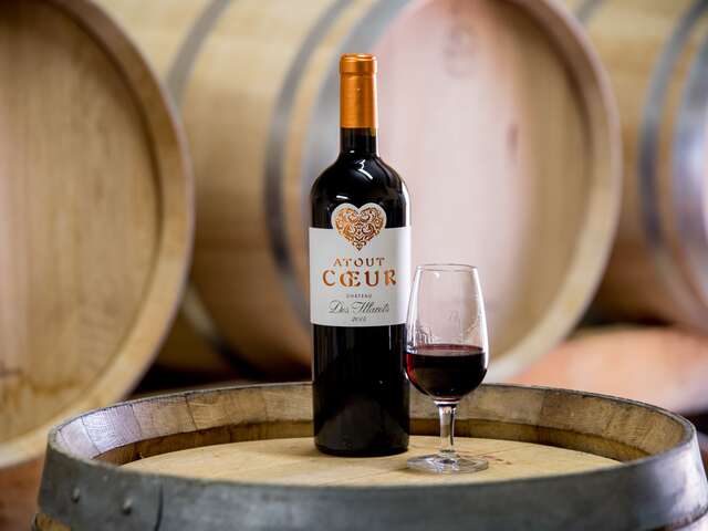 Château des Illarets