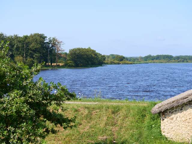 Sortie nature et découvertes