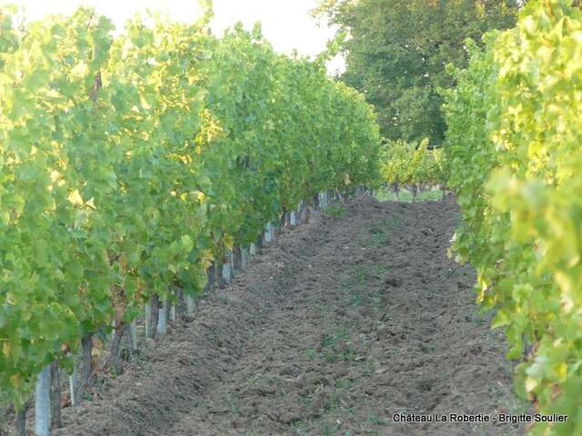 Château La Robertie