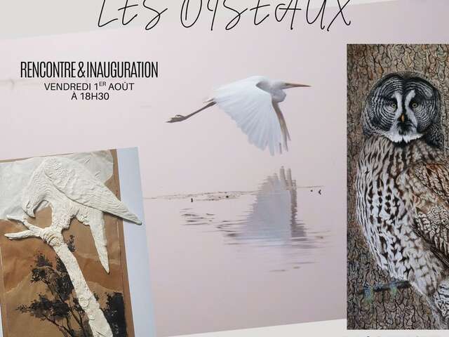 Exposition Les Oiseaux
