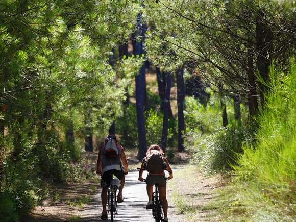 Piste cyclable Pontenx les Forges - Mimizan Plage