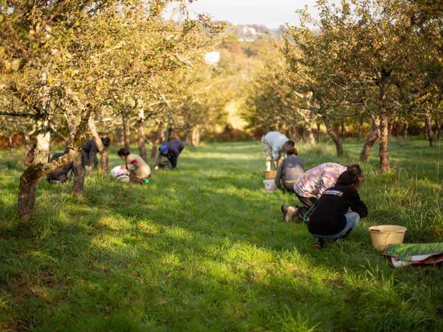 Ici, nos savoir-faire - Visite au Domaine de la Haute Futaie