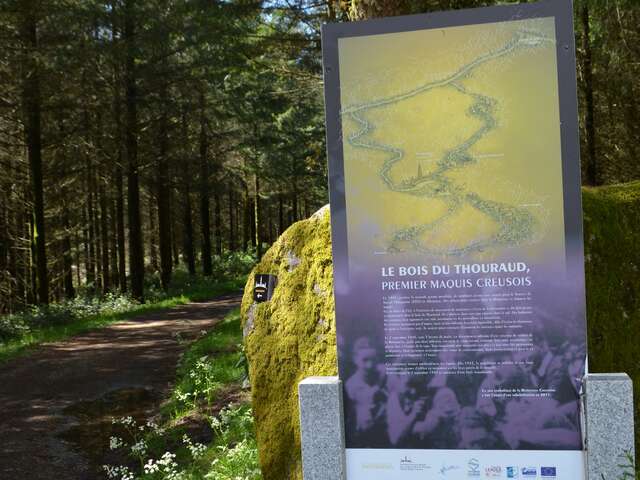 Bois du Thouraud, premier maquis Creusois