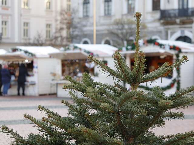 Marché de Noël à Rochechouart