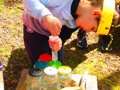 Atelier découverte des fleurs et des abeilles