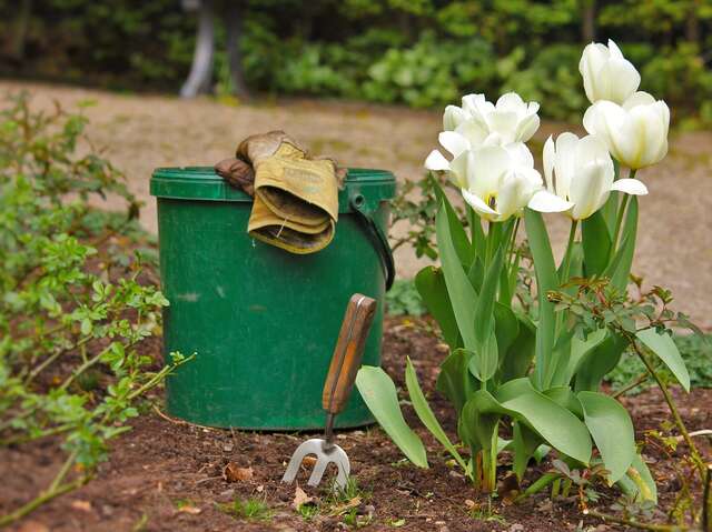 Journée du Jardinier