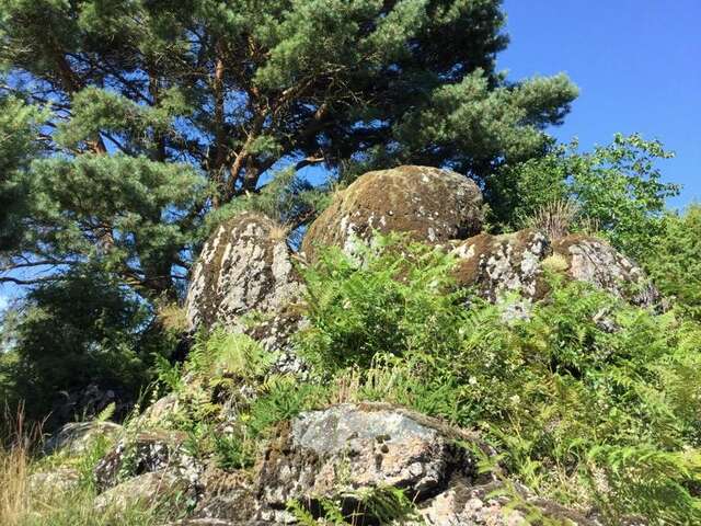 Sortie nature sur la lande des Pierres du Mas
