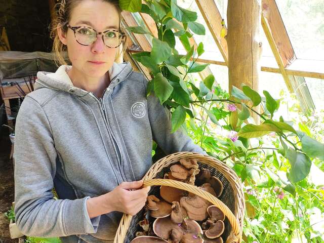 Atelier de production de champignons