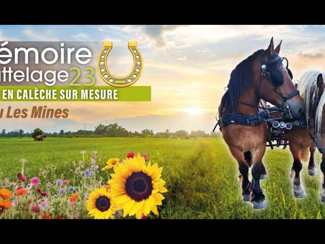 Promenade en calèche