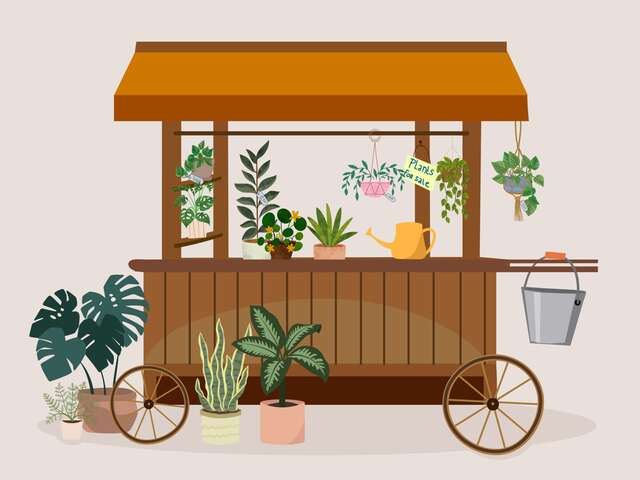 Marchés aux plantes