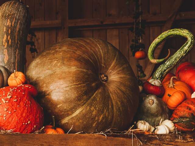 Fête de l'automne