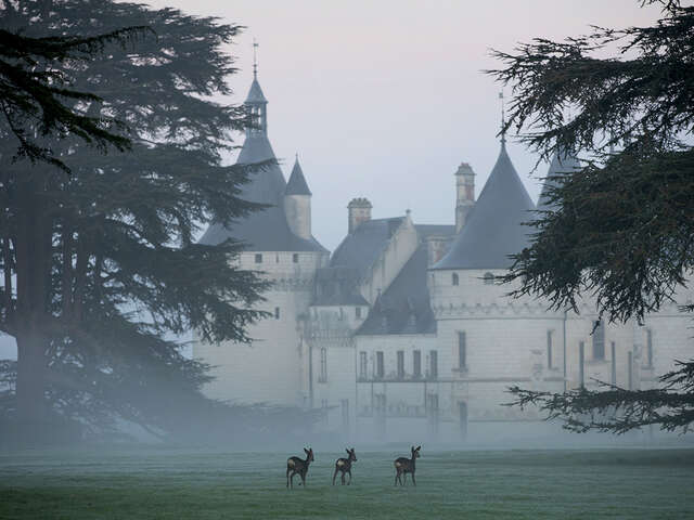 Rêves d'antan - Noël au Domaine de Chaumont-sur-Loire