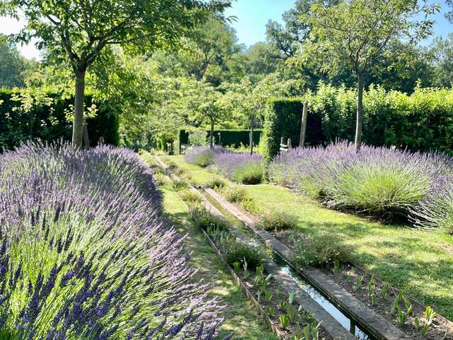 Domaine de Poulaines : Jardins et Arboretum