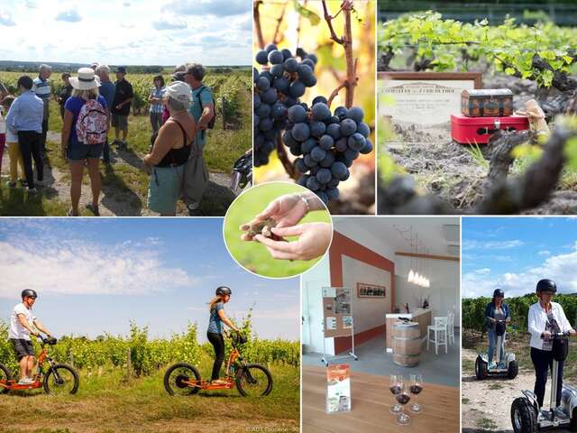 Rando-vignes en véhicules électriques trottinettes électriques ou gyropodes