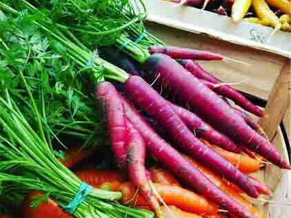 Marché de producteurs à Lancé