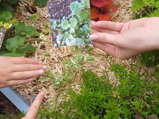 Vendôme Ville d'Art et d'Histoire -  "L’été des 6 - 10 ans" :  Découvrir le patrimoine en s’amusant à Vendôme