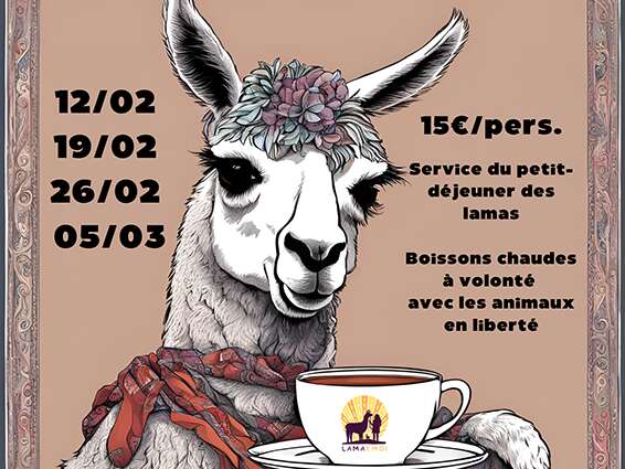 Le petit-déj des lamas et alpagas