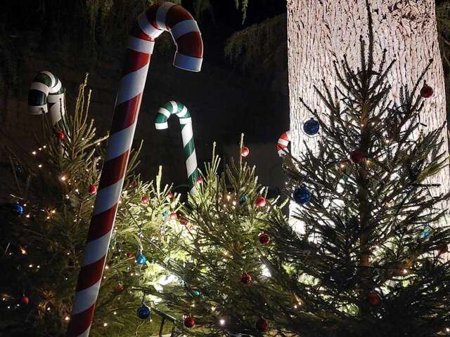 Marché de Noël à Montoire-sur-le-Loir