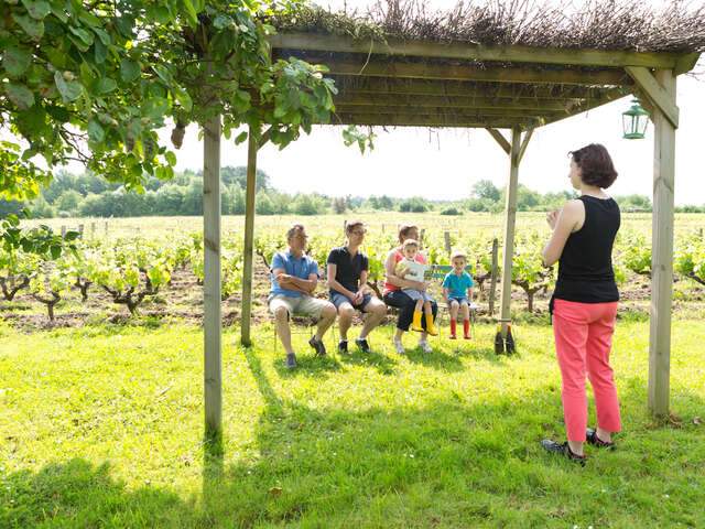 Activités Oenotouristiques au Domaine Sauvète