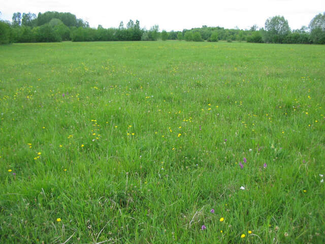 Prairies du Fouzon - Conservatoire d'espaces naturels Centre-Val de Loire