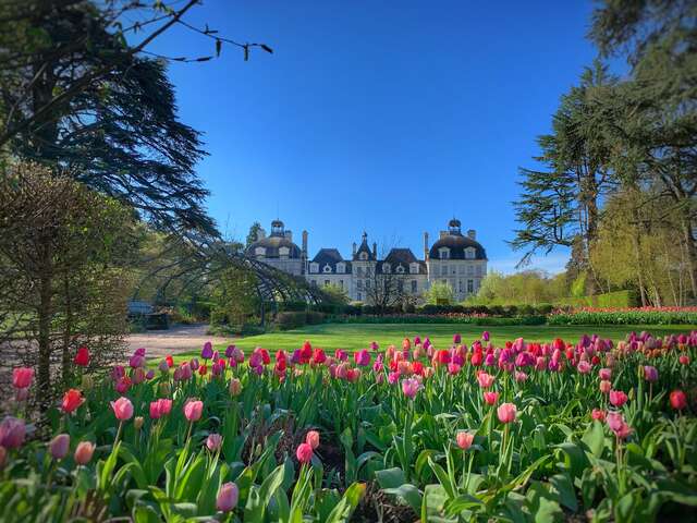 Fête des plantes au château de Cheverny