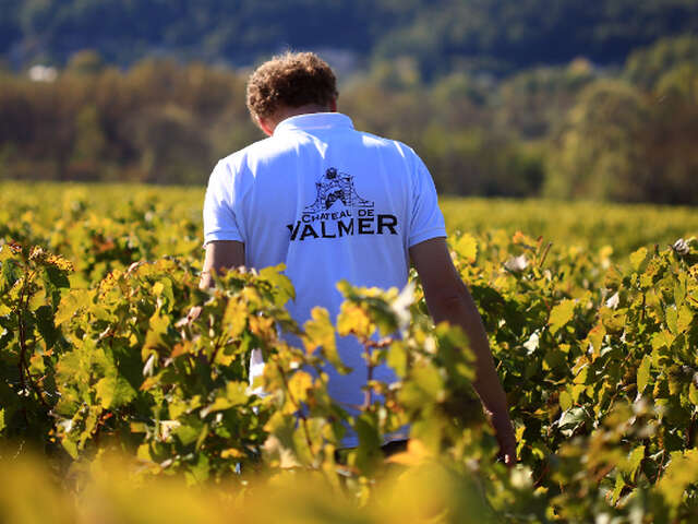 Château de Valmer