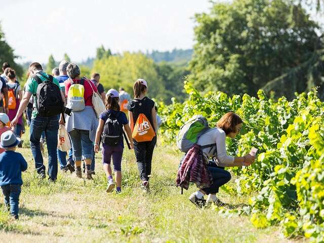 Chasse au trésor à la recherche de la cuvée perdue au Domaine Sauvète