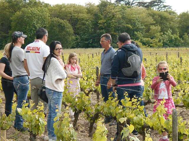 Balade commentée entre Sauvignon et Gamay