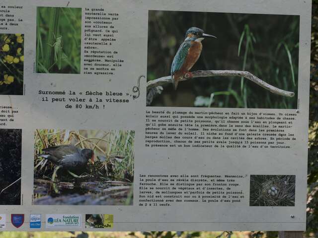 Sentier Nature du campagnol amphibie